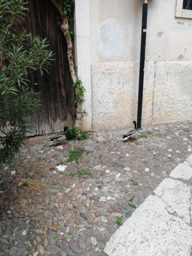 Verona Goddess House Bagian luar foto