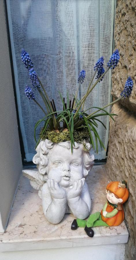 Verona Goddess House Bagian luar foto